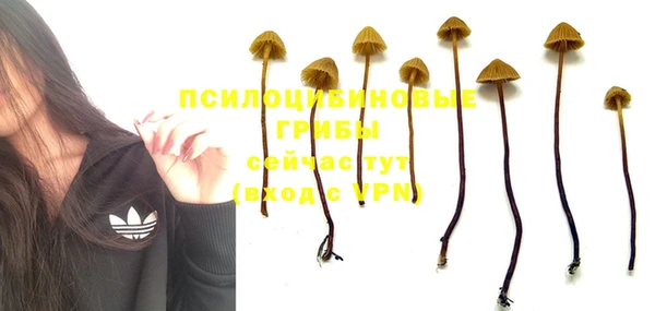 кокс Магадан