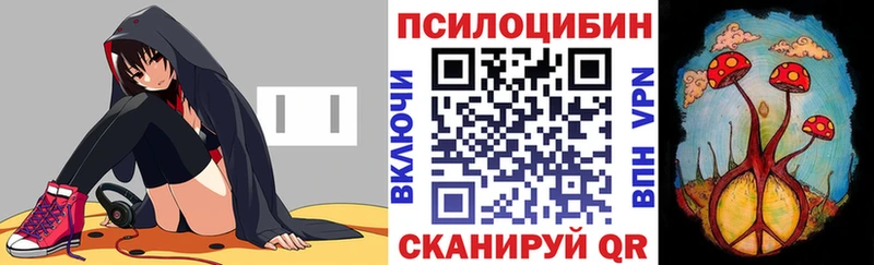 купить наркотик  Петрозаводск  Псилоцибиновые грибы GOLDEN TEACHER 